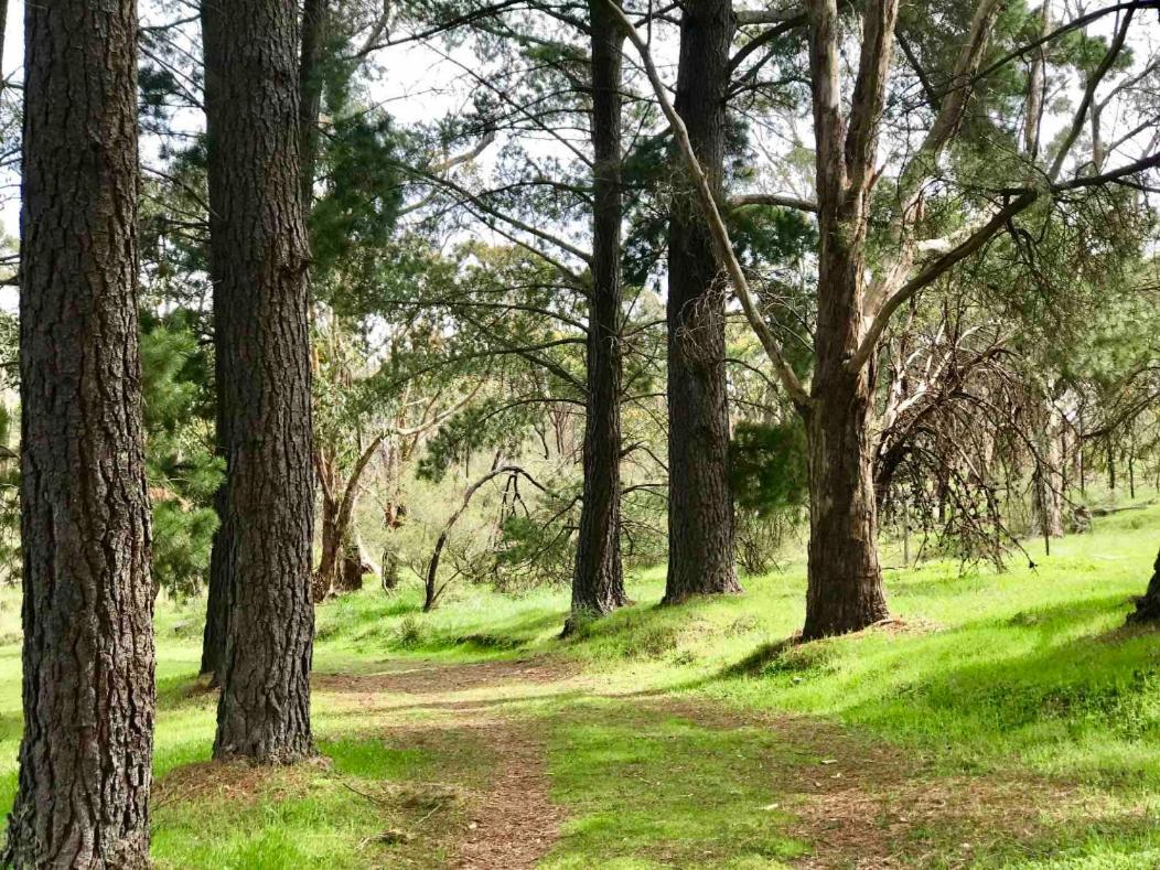 Adelaide Hills Escape Otel Woodside Dış mekan fotoğraf