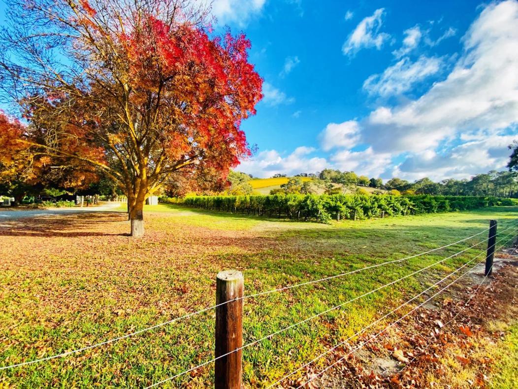 Adelaide Hills Escape Otel Woodside Dış mekan fotoğraf
