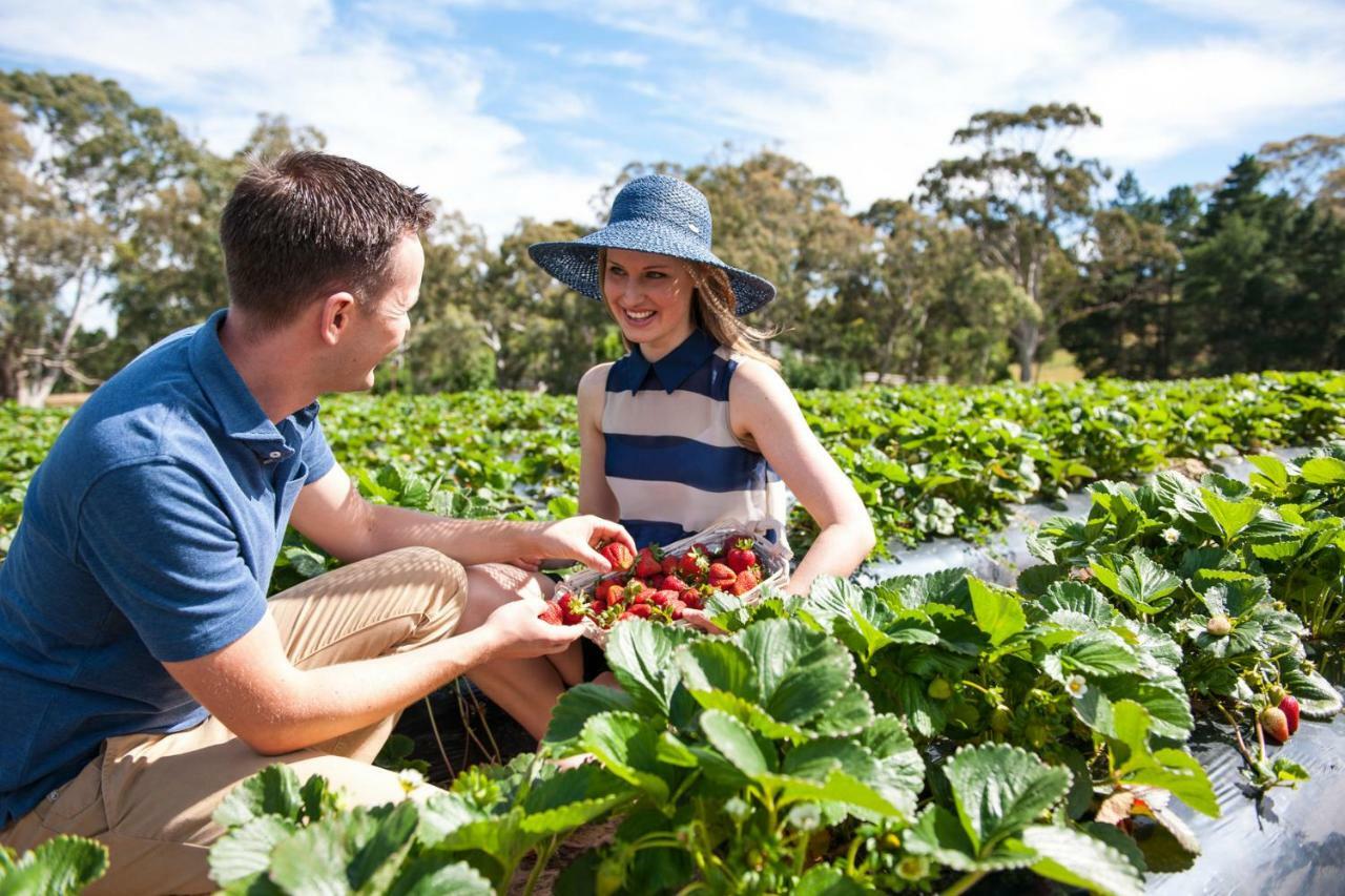 Adelaide Hills Escape Otel Woodside Dış mekan fotoğraf