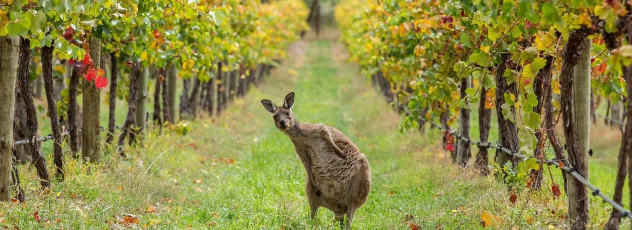 Adelaide Hills Escape Otel Woodside Dış mekan fotoğraf
